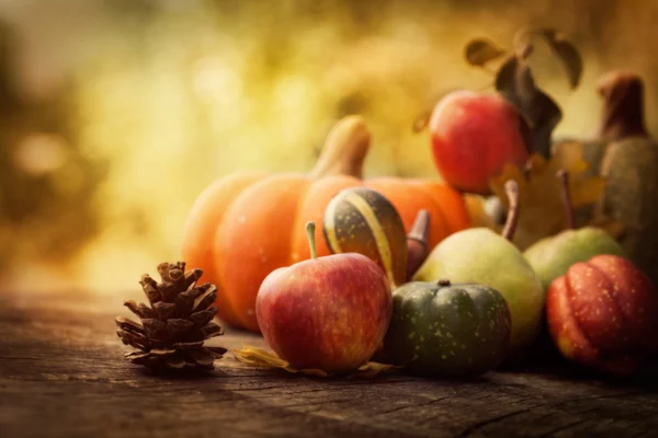 Medical Cautions to Keep in Mind for a Healthy Thanksgiving