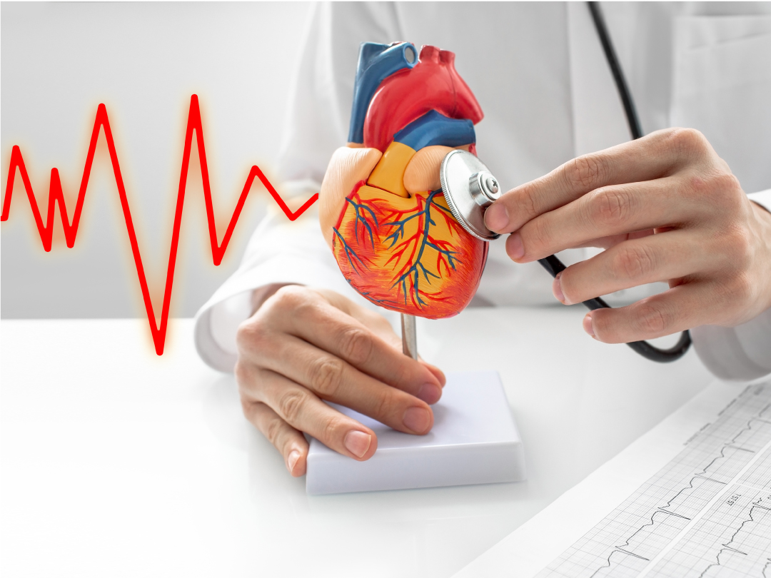 Guarding Your Heart: Exploring Heart Disease and Protective Actions